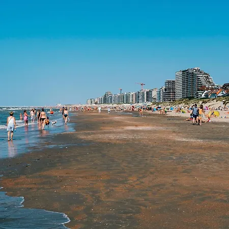 Charming Apartment Near Beach De Panne